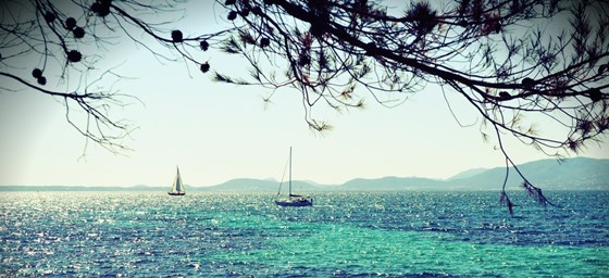 Фотографии: Palma de Mallorca Beach